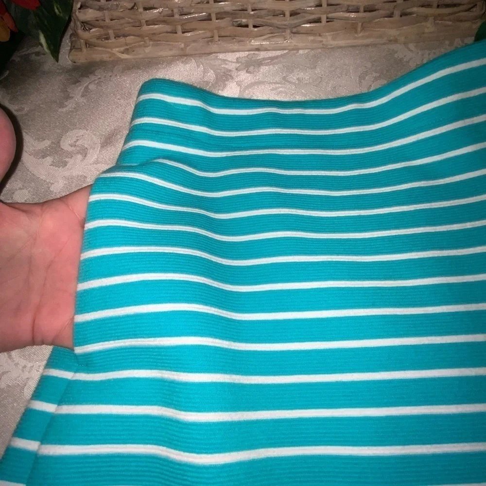 Talbots Aqua & White Striped A-Line Stretchy Skirt With Pockets 2P